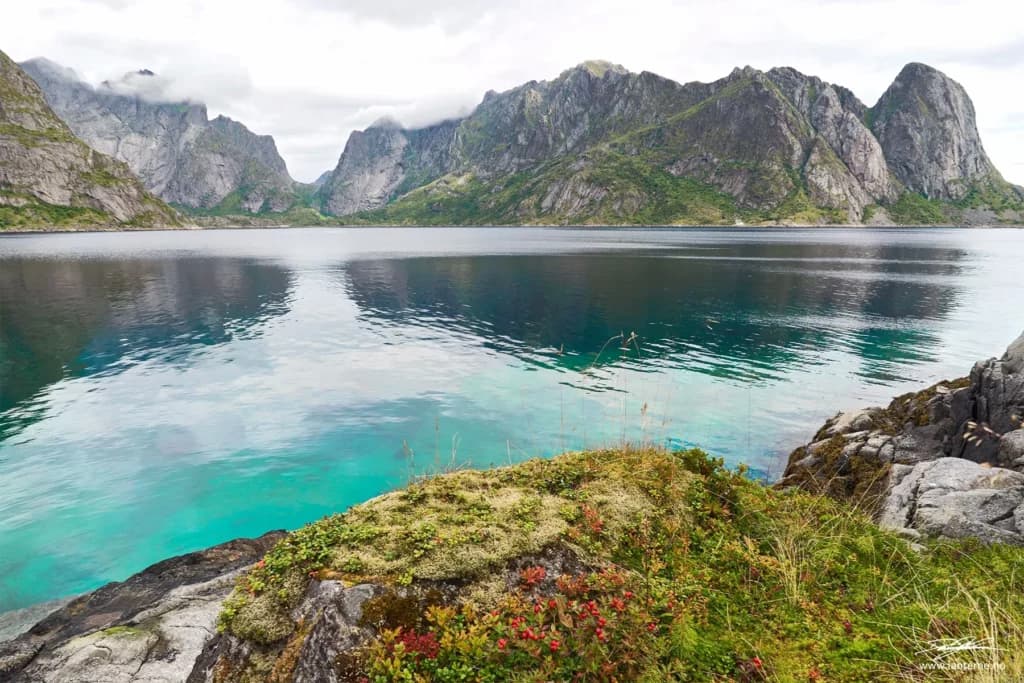 Illustrasjon av tips og triks for fotografering