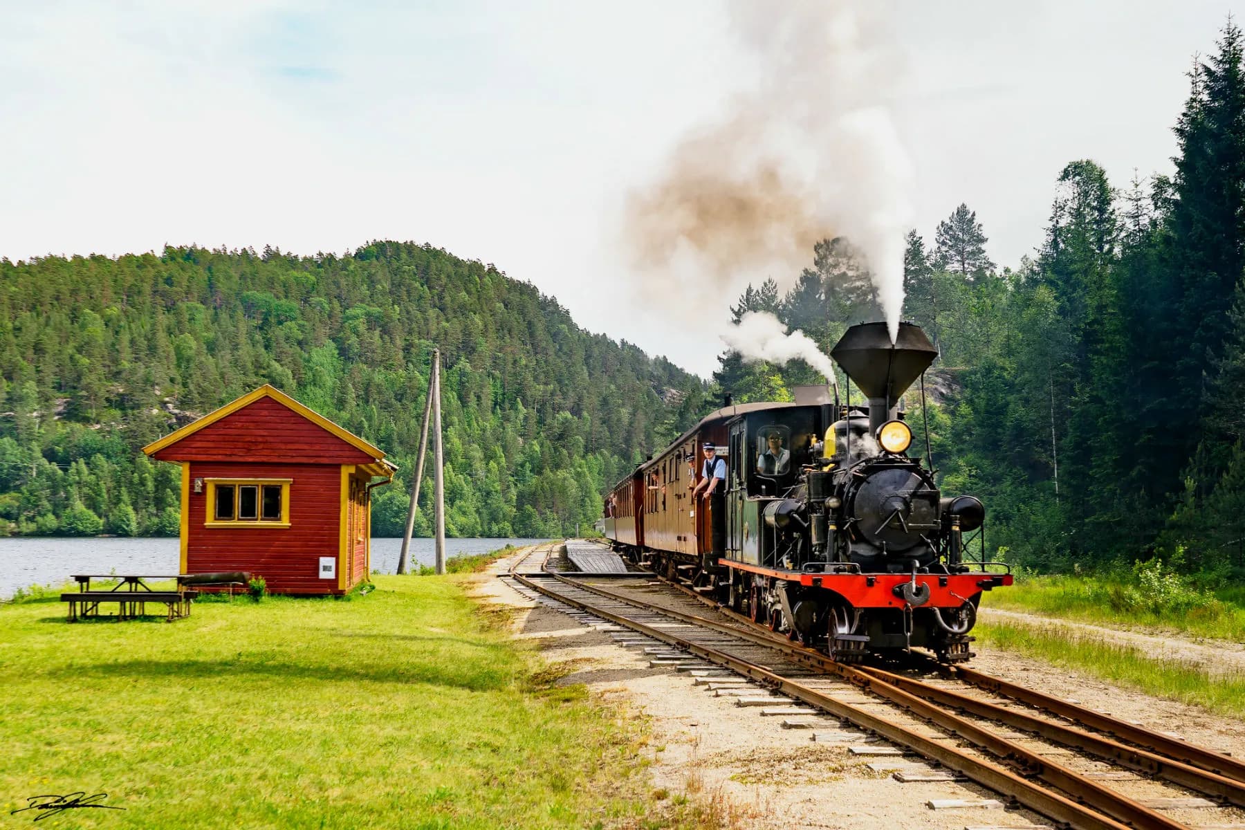 Setesdalsbanens damplokomotiv passerer Beiholdalen stasjon i sommersol