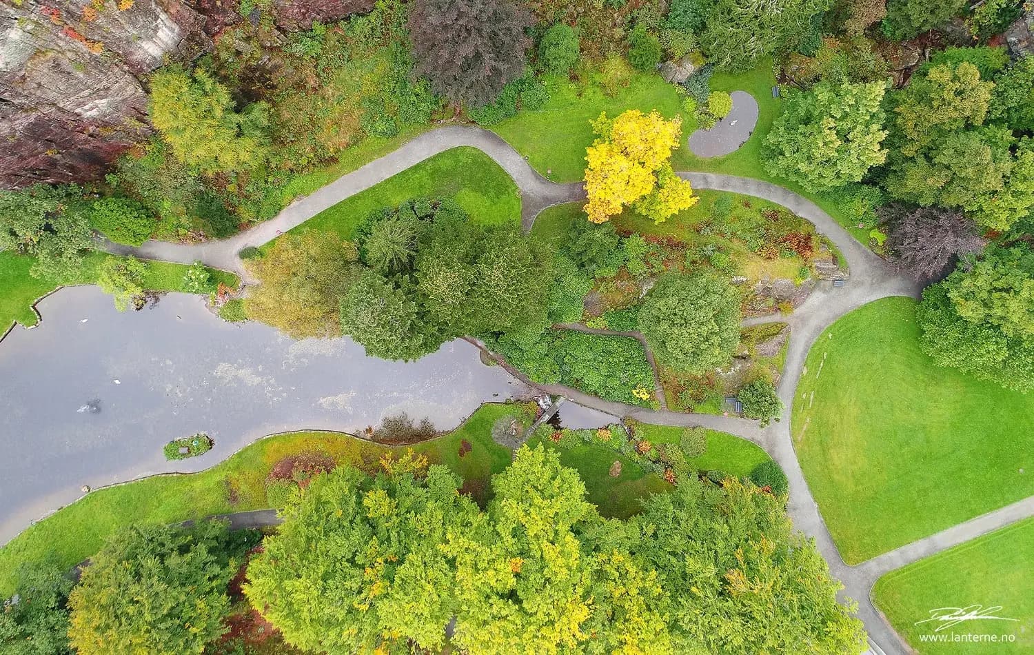 Dronefoto av park sett ovenfra